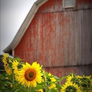 Meet your Posher, Heidi